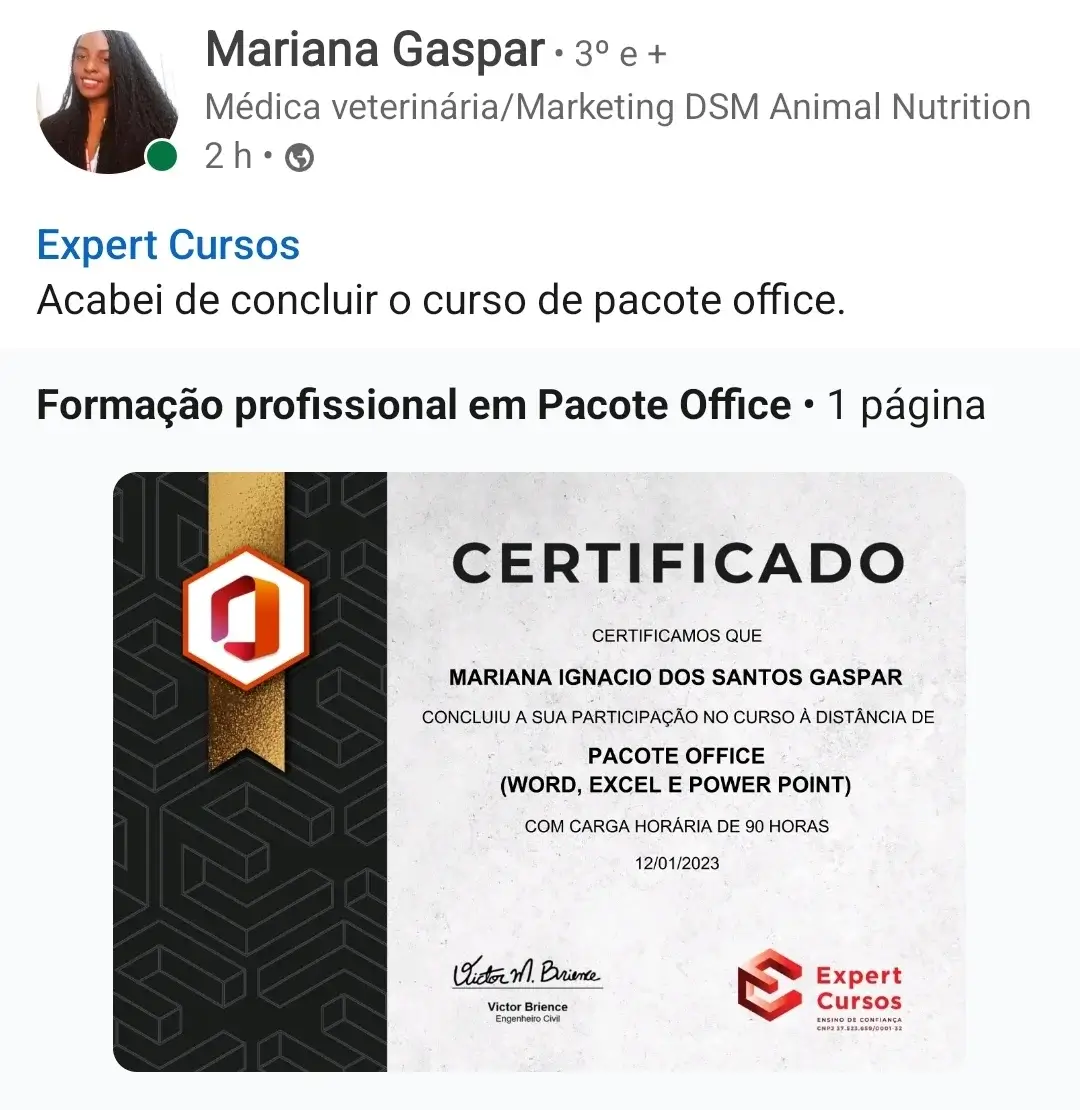 Curso-Online-de-pacote-office-instituto-getulio-vargas 14